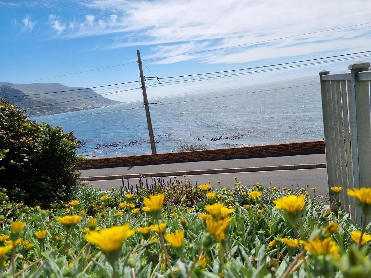 Bargain For 8 Persons Villa Fish Hoek South Africa